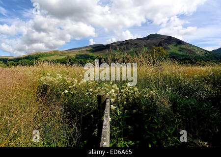 Die Aussicht auf Skiddaw in den Lake District National Park, Cumbria. Skiddaw Leinwand. Skiddaw Drucke Stockfoto