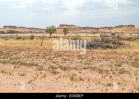 Sandstein Bildung C15 Straße Mariental Region Namibias Stockfoto