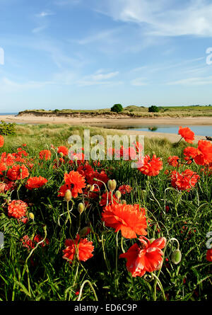 Die Aussicht, freuen uns über den Fluss Aln aus Alnmouth an der Küste von Northumberland. Stockfoto