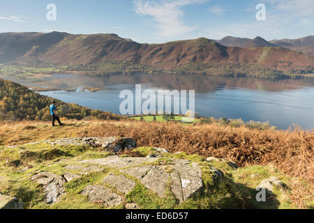 Walker auf Brown Knotts Blick über Derwent Water Cat Glocken und Derwent Fells, englischen Lake District Stockfoto