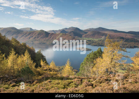 Derwent Water, Katze Glocken und Derwent Fells von Walla Crag im Herbst, englischen Lake District Stockfoto