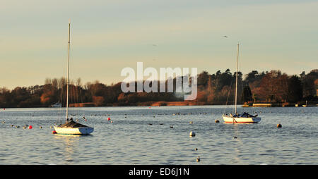 Zwei Boote vertäut am Oulton Broad, Norfolk, Großbritannien Stockfoto