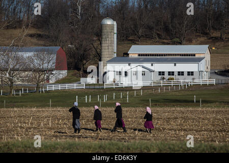 Amische Mädchen gehen durch eine Winter-Feld in Lancaster County, PA Stockfoto