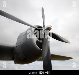 Riesige Propeller aus dem zweiten Weltkrieg Ära bomber Stockfoto