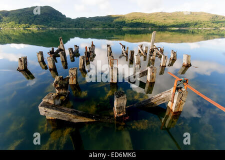 Loch Moidart in den Highlands von Schottland Stockfoto