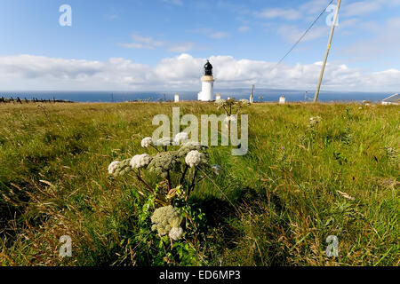 Willkommen Sie bei Dunnet Head den nördlichsten Punkt auf dem Festland Großbritannien Stockfoto