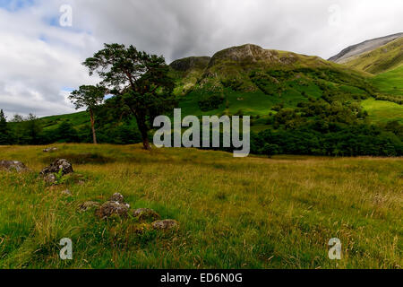 Glen Nevis in den Highlands von Schottland Stockfoto