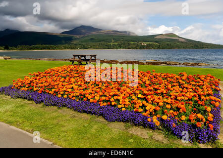 Die Aussicht auf Goat Fell auf der Isle of Arran, Schottland von Brodick Stockfoto