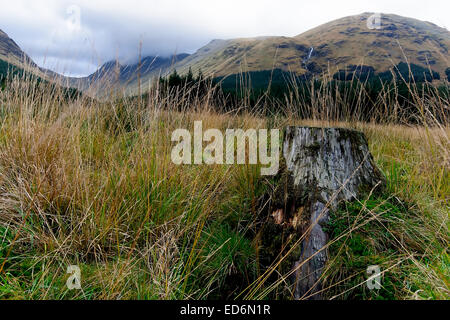 Glen Etive in den Highlands von Schottland Stockfoto