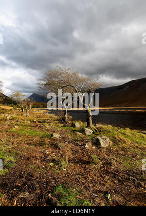 Loch Etive in den Highlands von Schottland Stockfoto