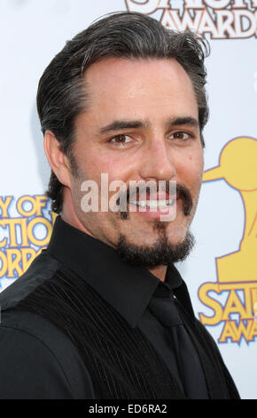 Saturn Awards 2014 - Ankünfte mit: Victor Webster wo: Los Angeles, California, Vereinigte Staaten von Amerika bei: 26. Juni 2014 Stockfoto