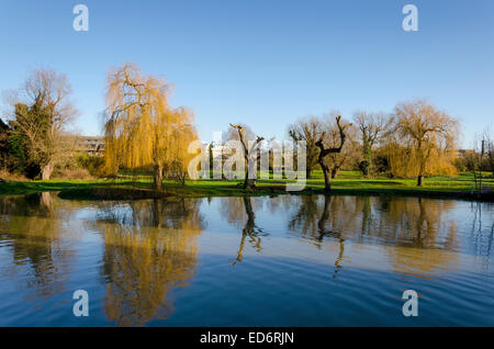 Cambridge, UK. 29. Dezember 2014: Reflexionen über den Mühlenteich in Cambridge Stockfoto