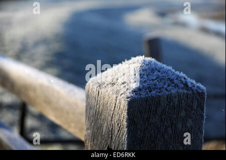 Touristenort Sussex UK. 30. Dezember 2014. UK-Wetter. Die frostige Szene entlang dem Fluß Cuckmere in East Sussex als Temperaturen weit unter Null heute Morgen bleiben. Stockfoto