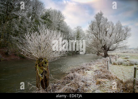 Salisbury, Wiltshire, UK. 30. Dezember 2014. UK-Wetter. Fluß Avon in der Nähe von Salisbury, Wiltshire, England 30. Dezember 2014 - Raureif auf den Bäumen am Fluss Bankguthaben: John Eccles/Alamy Live News Stockfoto