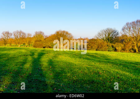 Cambridge, UK. 29. Dezember 2014: Grantchester Wiesen Stockfoto