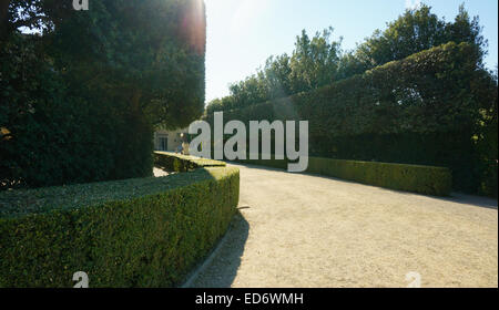 Giardino di Boboli, königlichen Garten Florenz Italien Stockfoto