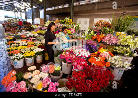 Kapstadt, Südafrika Stockfoto