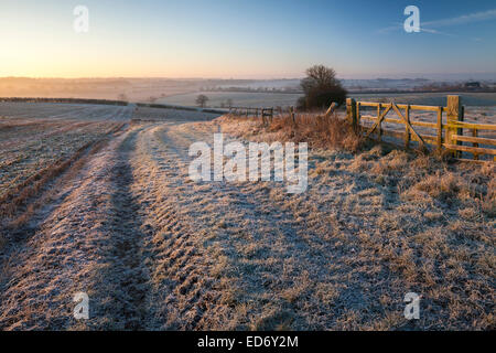 Northamptonshire, UK. 30. Dezember 2014. Northamptonshire, UK. 30. Dezember 2014. UK-Wetter.  Eine kurvenreiche Farm verfolgen neben einem Holztor und wackelige Zaun in einer winterlichen Landschaft nach der schweren Nacht Frost kurz nach Sonnenaufgang, in der Nähe von Northampton in Northamptonshire. 30. Dezember 2014 übernommen. Bildnachweis: Andrew Baskott/Alamy Live-Nachrichten Stockfoto