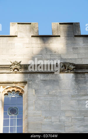 Bau, Architektur und Steinmetzarbeiten in Schulen Viereck, Bodleian Library, Oxford, England Stockfoto