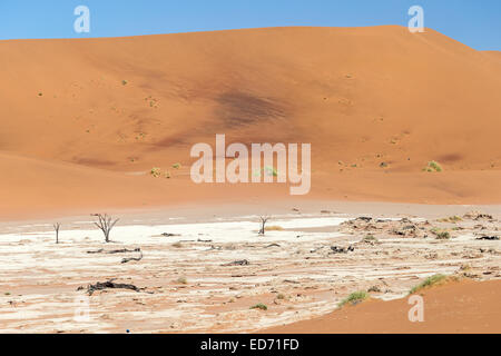 Tonpfannen, tote Kameldorn (Akazien) Bäume und Sand, Deadvlei, aka Deadvlei oder Dead VLE, Sossusvlei, Namib-Naukluft National Park, Namibia Stockfoto