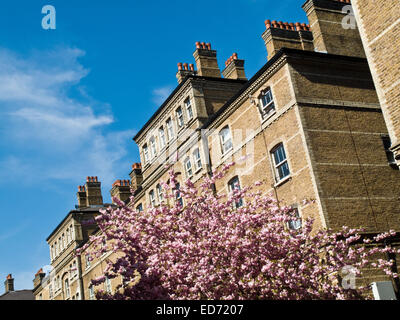 Peabody Wohnsiedlung, Herbrand Street, Camden, Bloomsbury, London, England, Vereinigtes Königreich Stockfoto