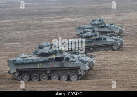 Krieger verfolgt Schützenpanzer der britischen Streitkräfte während der Übung Black Eagle in Polen. Stockfoto