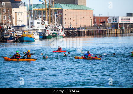 Weymouth Weihnachtstag Hafen schwimmen 2015 Stockfoto