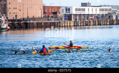 Weymouth Weihnachtstag Hafen schwimmen 2015 Stockfoto