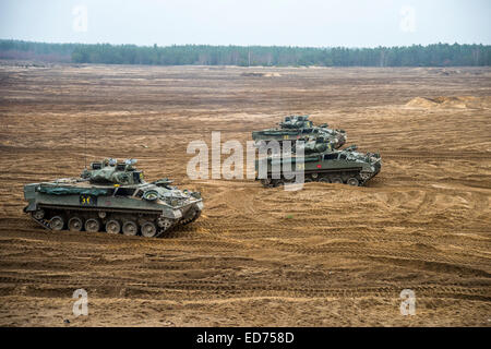 Krieger verfolgt Schützenpanzer der britischen Streitkräfte während der Übung Black Eagle in Polen. Stockfoto