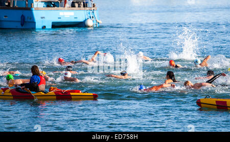 Weymouth Weihnachtstag Hafen schwimmen 2015 Stockfoto