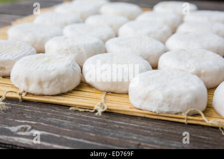 Set mit kleinen Köpfen der junge Ziegen Käse Crottin auf hölzernen Brettern liegend Stockfoto