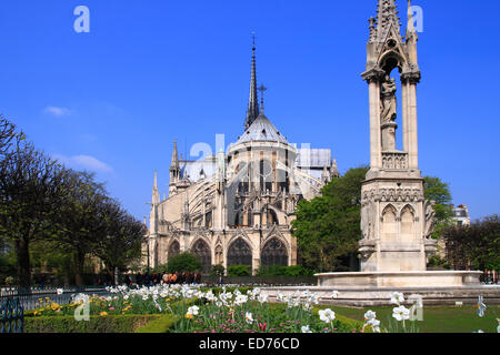 Kathedrale Notre Dame, Reims, Champagne, Frankreich, Nahaufnahme Stockfoto