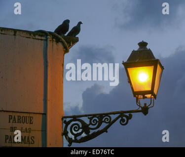 San Juan, Puerto Rico, Vereinigte Staaten. 12. Januar 2009. Zwei Tauben sitzen oben auf der Mauer auf ihrem Namensgeber, dem Parque de Las Palomas (Pigeon Park), neben einer altmodischen Schmiedeeisen Stadt Licht hängt an der alten Stadtmauer in El Viejo San Juan (Old San Juan), Puerto Rico, mit Blick auf die Bucht von San Juan. © Arnold Drapkin/ZUMA Draht/Alamy Live-Nachrichten Stockfoto