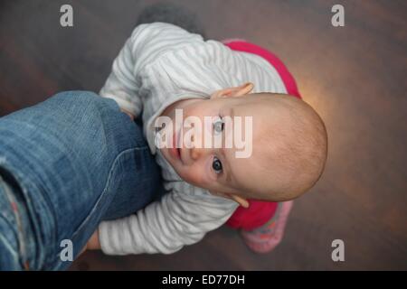 Ein 8 Monate altes Baby auf die Väter Bein anheben Stockfoto