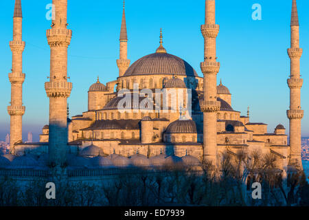 Die blaue Moschee, Sultanahmet Camii oder Sultan-Ahmed-Moschee in Istanbul, Türkei Stockfoto