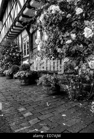 Einige Hütten entlang der Seite der Themse in Tewksbury, Gloucestershire Stockfoto