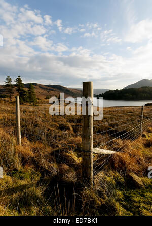 Die Aussicht auf Loch Clair in Glen Torridon, Wester Ross, Schottland Stockfoto