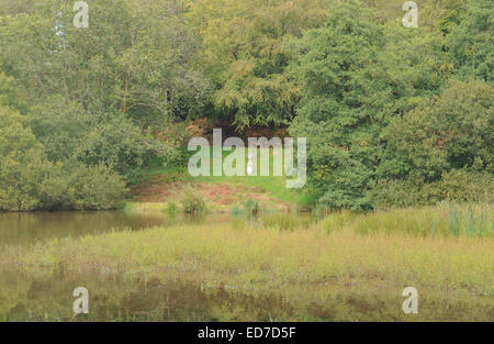 Stein-Urne in Waldlichtung am alten See Walk am Arlington Court, Barnstaple, Devon, England, UK Stockfoto