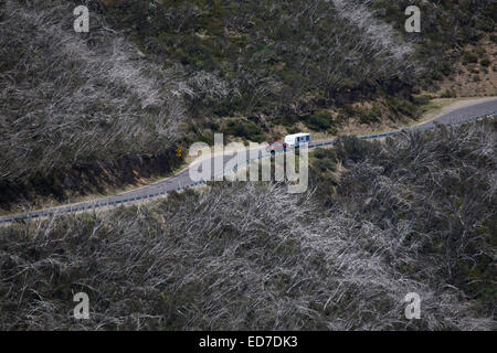 4 x 4 Ute Abschleppen einer Karawane durch das Nachwachsen von den australischen Busch nach verheerenden Buschfeuer in der Nähe von Mount Hawthorn Victoria Australien Stockfoto