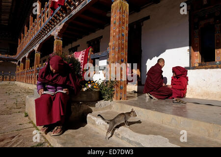 Junge buddhistische Nonnen in ihrem Zimmer bei Pema Choling Kloster in Bumthang im Tang-Tal in Bhutan Stockfoto
