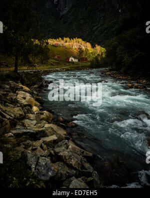 Am Abend Sonnenlicht auf den Bäumen am Fluss am Mørkri in Mørkrisdalen, Breheimen, Norwegen Stockfoto