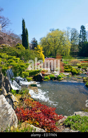 Die Wasserfälle in Kilver Court Gardens im Frühling, Shepton Mallet, Somerset, England, UK Stockfoto