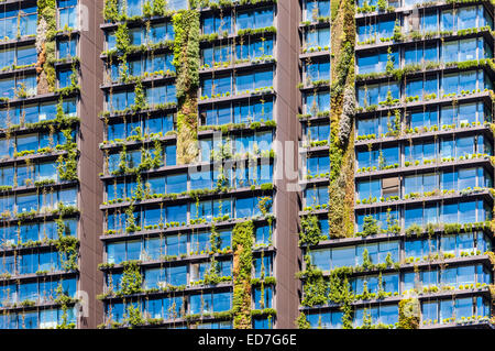 Vertikalen Garten oder lebendige Mauer ist eine Wand mit lebenden Pflanzen auf Wohnhaus, Sydney Australia Stockfoto