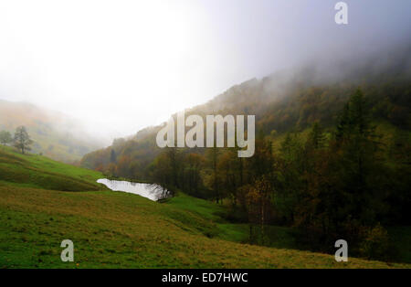 Ein Wald mit gelben und grünen Bäumen ist im trüben Nebel verschlungen. Ein kleiner See spiegelt die weißen Himmel. Stockfoto