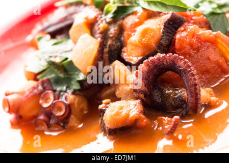 Geschmorte Tintenfische in Tomatensauce mit Petersilie Stockfoto