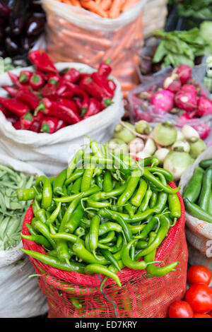 Grüne Chili und rotem Chili anzeigen zum Verkauf an Lebensmittel und Gewürz-Markt im Stadtteil Kadiköy auf der asiatischen Seite Istanbul, Ost-Türkei Stockfoto