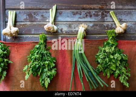 Knoblauch, Frühlingszwiebeln Koriander zum Verkauf an Lebensmittel und Gewürz-Markt im Stadtteil Kadiköy auf der asiatischen Seite von Istanbul, Ost-Türkei Stockfoto