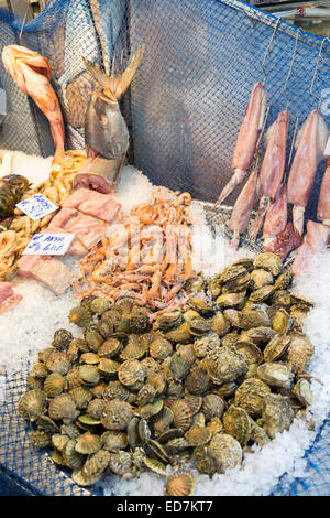 Frischer Fisch Tintenfisch, Meeresfrüchte Krebstiere in Fischhändler im Lebensmittelmarkt im Stadtteil Kadiköy, asiatische Seite von Istanbul, Ost-Türkei Stockfoto