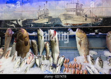 Frischer Fisch, einschließlich Orfoz zum Verkauf an Dicle Fischhändler im Lebensmittelmarkt im Stadtteil Kadiköy asiatischen Seite von Istanbul, Ost-Türkei Stockfoto