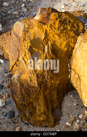 Klippen am Hengistbury Kopf Dorset UK Winter 2014 Stockfoto